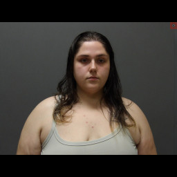 Image for Donaldson, Leean A  - RECKLESS ENDANGERMENT 2ND and 2 additional charges