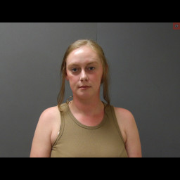 Image for Schroeder, Sarah J  - ENDANGERING THE WELFARE OF A CHILD