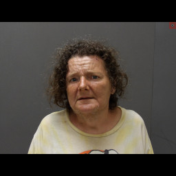 Image for Sternberg, Jill M  - CRIMINAL TRESPASS 2ND