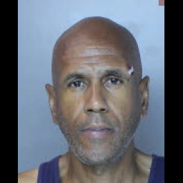 Image for BANK ROBBERY ARREST