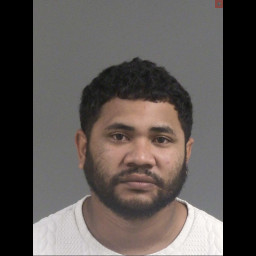 Image for Camargo, Benigno Raul  - LEAVING THE SCENE OF AN ACCIDENT INVOLVING INJURIES and 3 additional charges