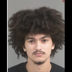Image for Stewart, Carter Luciano  - RECEIVING STOLEN GOODS X2