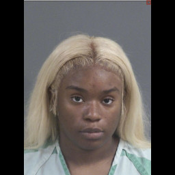 Image for Green, D'Niyah Alana  - ASSAULT BY MOB 3RD DEGREE and 1 additional charge