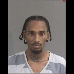 Image for Murray, Jaelen   - BREACH OF PEACE (NON-AGGRAVATED)