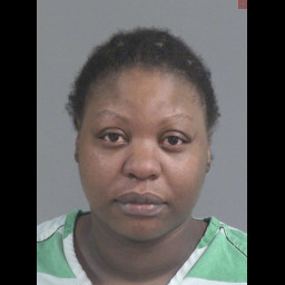 Image for Deas-Gardner, Tanisha Vernell  - ASSAULT AND BATTERY 2ND DEGREE X3 and 1 additional charge