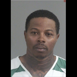 Image for Gathers, Tovya Emanuel  - POSSESSION OF SCHEDULE II NARCOTICS and 2 additional charges