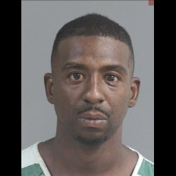 Image for Brown, Antwan Derrell  - ATTEMPTED MURDER and 1 additional charge