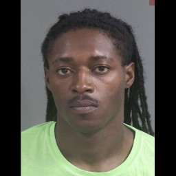 Image for Fulmore , Hendrick Lee  - DOMESTIC VIOLENCE 1ST DEGREE