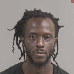 Image for Nelson, Montell Rashad  - GRAND LARCENY