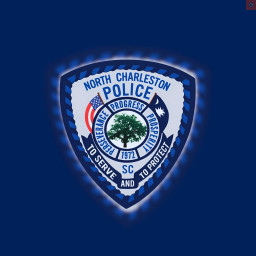NCPD Patch.jpg