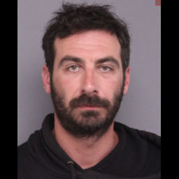 Image for Selber, Samuel   - CRIMINAL MISCHIEF IN THE THIRD DEGREE