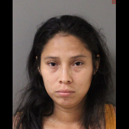 Image for Cifuentes Portillo, Elena   - RECKLESS ENDANGERMENT-1ST DEGREE