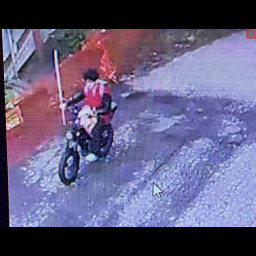 Image for Update! - Suspect Identified! - Cascade Park Bocce Court Vandal