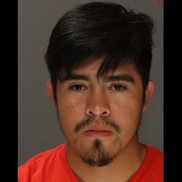 Image for Ramirez-Aguirre, Francisco Javier  - 3929 (A)(1) RETAIL THEFT (S)