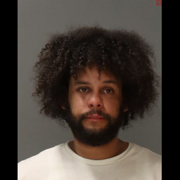 Image for Diaz, Felix Antonio  - (18) 3929 (A1) RETAIL THEFT (3 COUNTS) and 1 additional charge