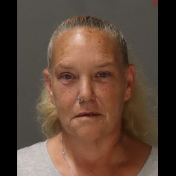 Image for Ruiz, Michele Delores  - (18) 3929 (A1) RETAIL THEFT (M2) and 1 additional charge