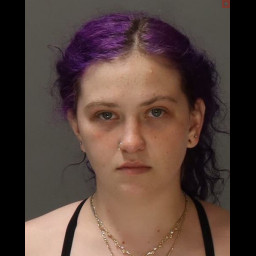 Image for Friedman, Samantha   - 3929 (A)(1) RETAIL THEFT (S)