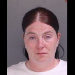 Image for Adams, Robin   - DRIVING UNDER THE INFLUENCE OF ALCOHOL