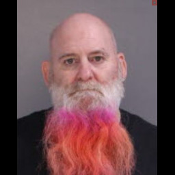 Image for Brunetto, Brian   - OTHER CRIMES