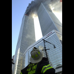 9111.jpg
