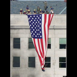 9113.jpg