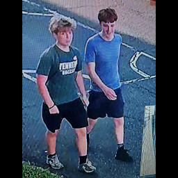 Image for Criminal Mischief Investigation; WT-26-06662