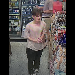 Image for Wawa Retail Theft
