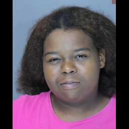 Image for Powell, Maia Yvette  - BURGLARY and 8 additional charges