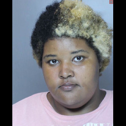 Image for Vandyke, Janisha   - BURGLARY and 8 additional charges
