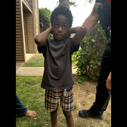 Image for ***UPDATE***  Found Juvenile