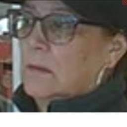 Image for Ruiz, Merly   - (1) COUNT OF RETAIL THEFT (F3)