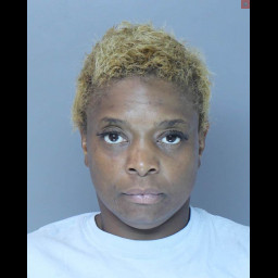 Image for Luckett, Kennetha Dalene  - (1) COUNT OF RETAIL THEFT (F3)