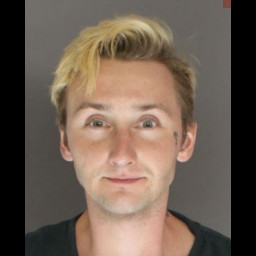 Photo of Fox, Julian Gibson 
