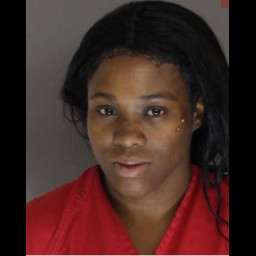 Image for Tashaira, Adams Ashli Amari  - 18 3929 (A)(1) RETAIL THEFT and 1 additional charge