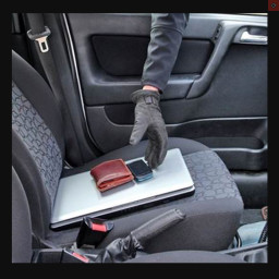 theftfromvehicle.png