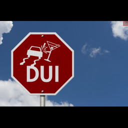 Image for Pellman, Becky - DUI