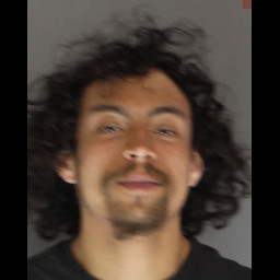 Image for McKenzie, Ethan   - THEFT BY UNLAWFUL TAKING and 3 additional charges
