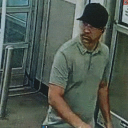 Image for Theft/Fraud Suspect ID Sought