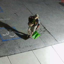 Image for Help Identify Planter Theft Suspect