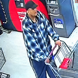 Image for Help Identify Suspect in Retail Theft at Sav A Lot, Spring Garden Township