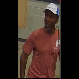 Image for Retail Theft - Lowes