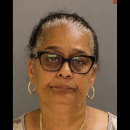 Image for Collado, Berkis   - 18 3929 (A)(1) RETAIL THEFT and 1 additional charge