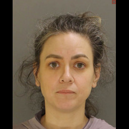 Image for Gilmore, Stephanie M  - 18 3929 (A)(1) RETAIL THEFT