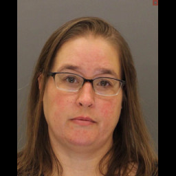 Image for Bryson, Tabbitha Nicole  - (1 COUNT) ENDANGERING WELFARE OF CHILDREN - PARENT/GUARDIAN/OTHER COMMITS OFFENSE (M1) and 1...