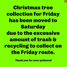 fb_-christmas_trees.png