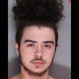 suspect.jpg