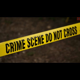 Image for Police Incident