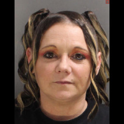 Image for Donahue, Nicole   - (1 COUNT) RETAIL THEFT (S)