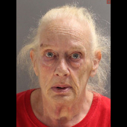 Image for Edwards, Christina B  - (1 COUNT) RETAIL THEFT: UNDER RING (F3)