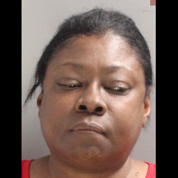 Image for White, Akia Lorine  - (1 COUNT) RETAIL THEFT (S)